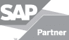 SAP_gry_Partner