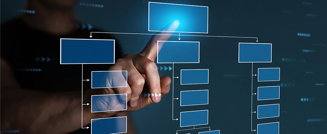 SAP WBS Elements